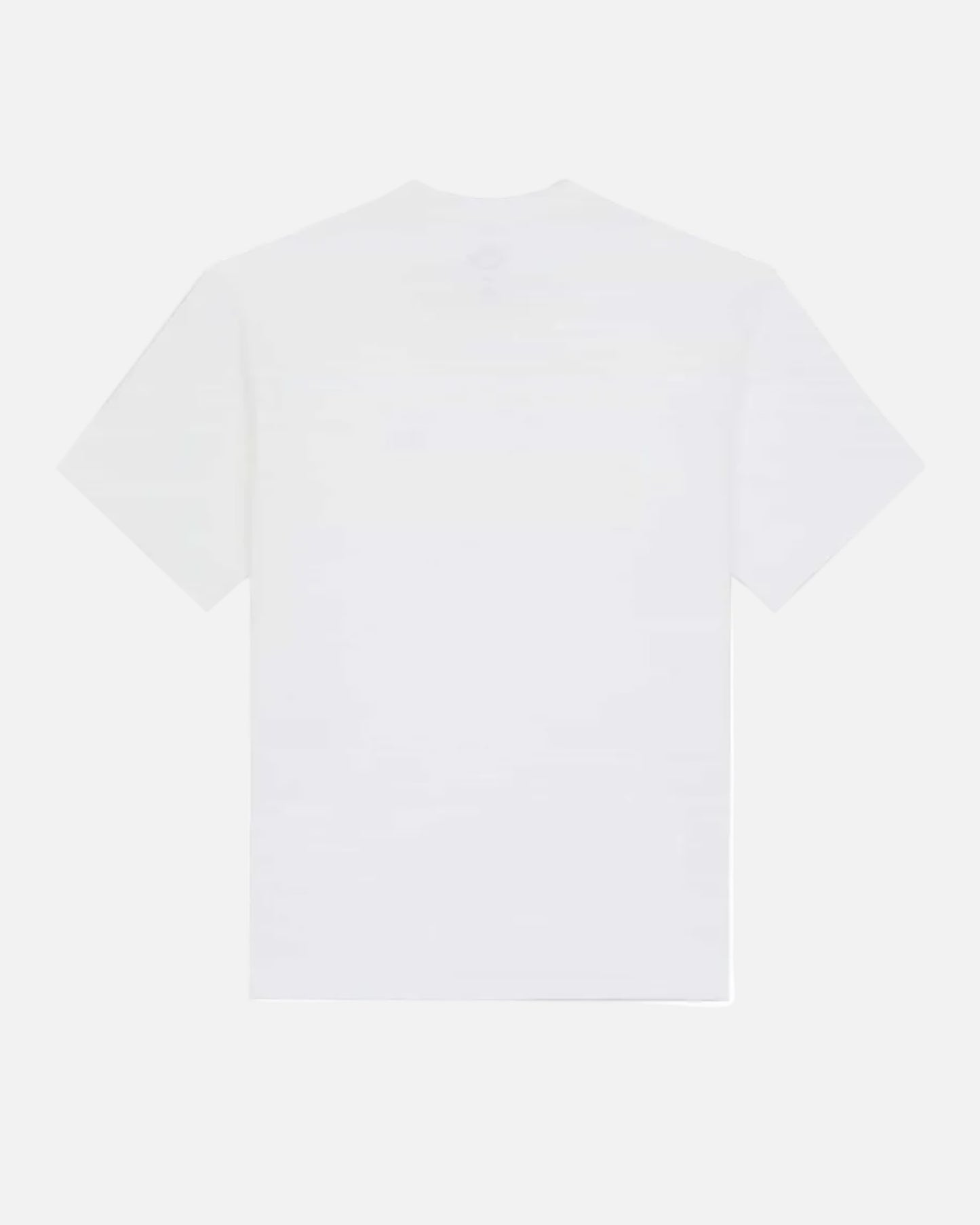 DICKIES T-SHIRT