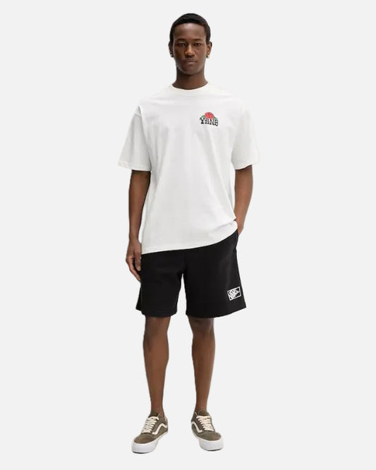 VANS SHORTS