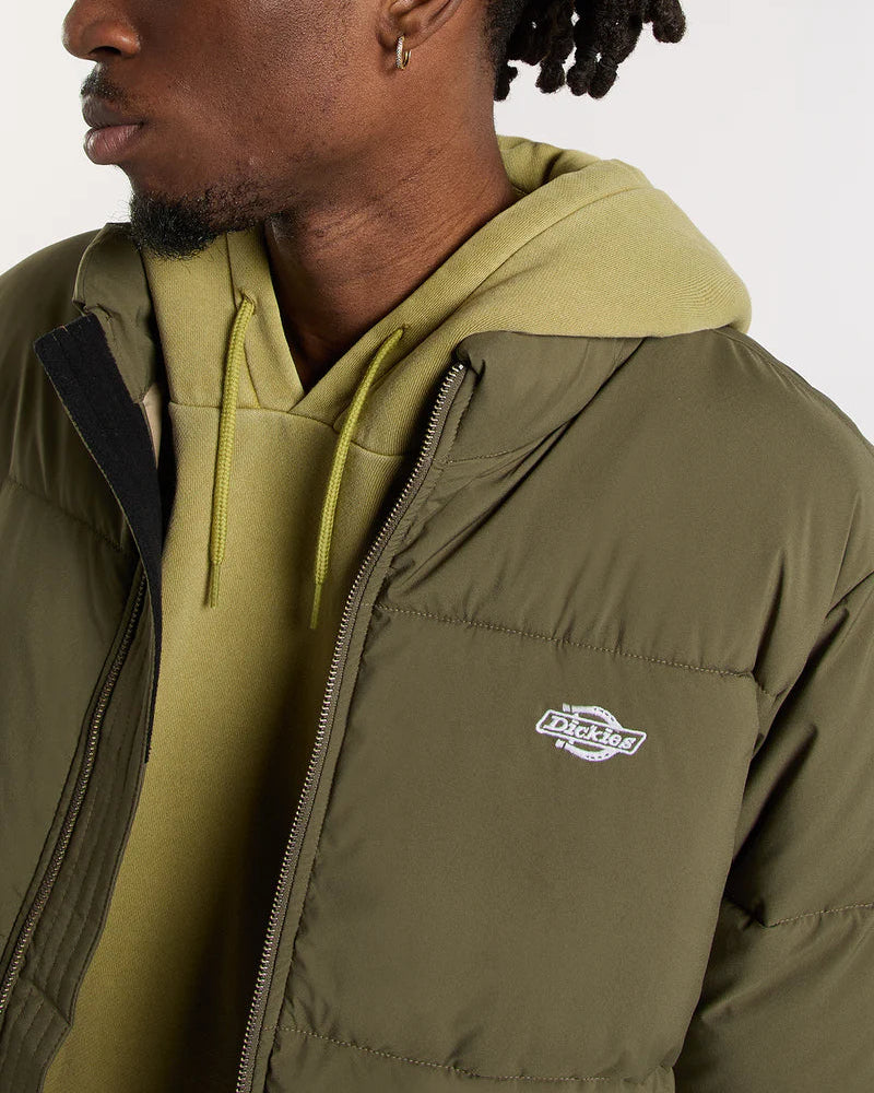 DICKIES PIUMINO