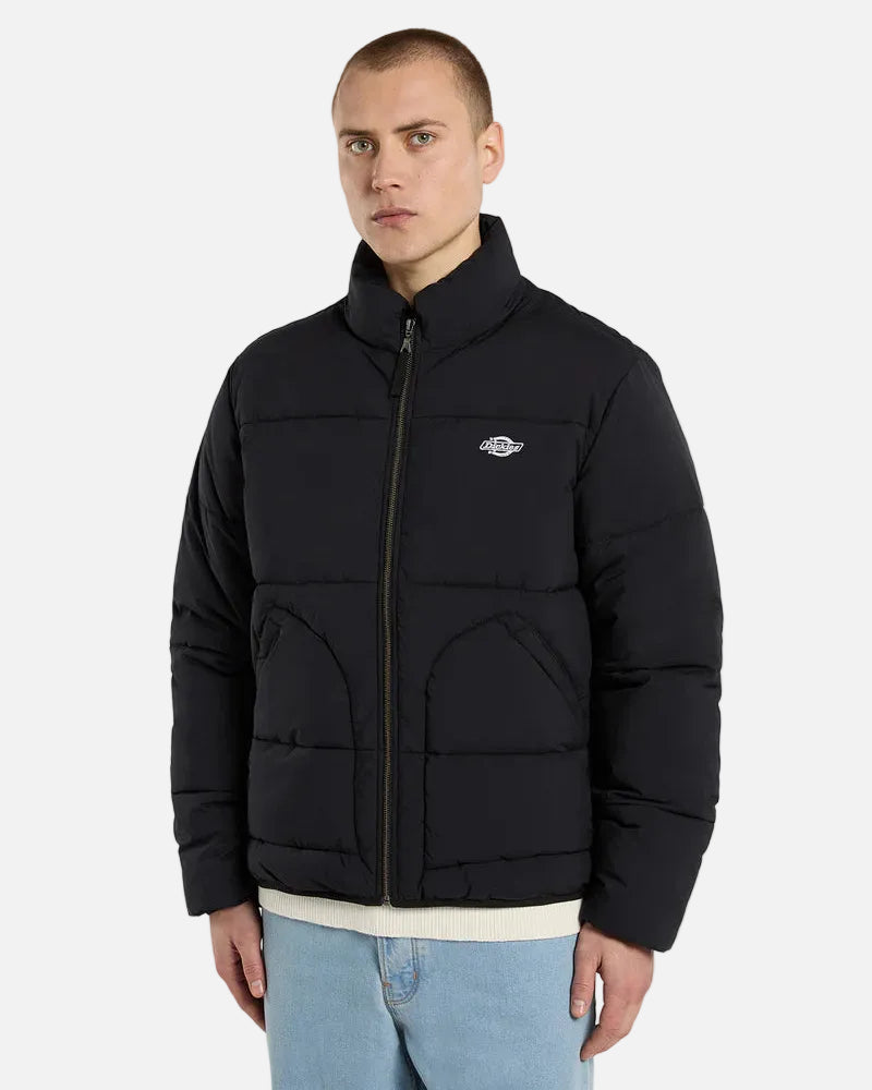 DICKIES PIUMINO
