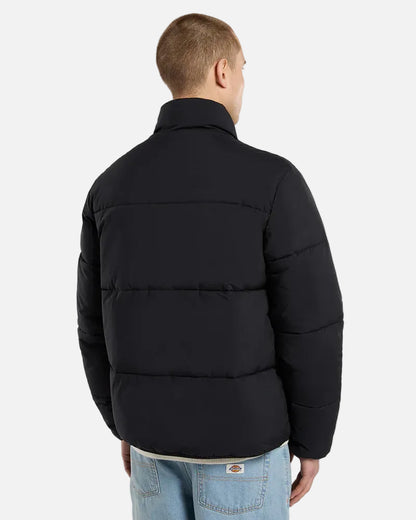DICKIES PIUMINO