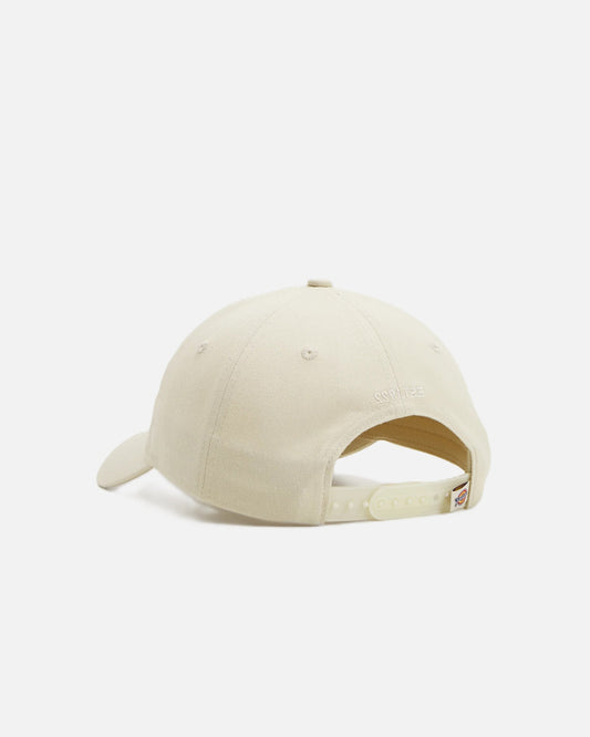 DICKIES CAPPELLO