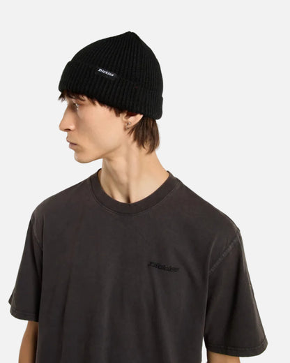 DICKIES BERRETTO