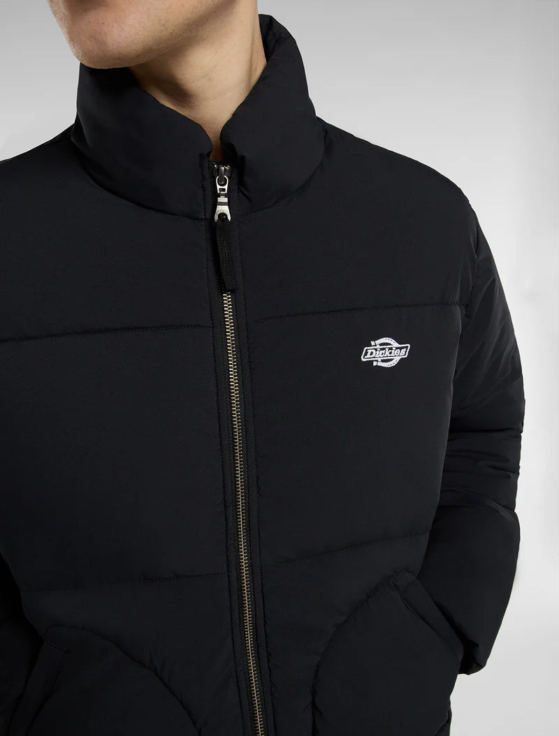 DICKIES PIUMINO