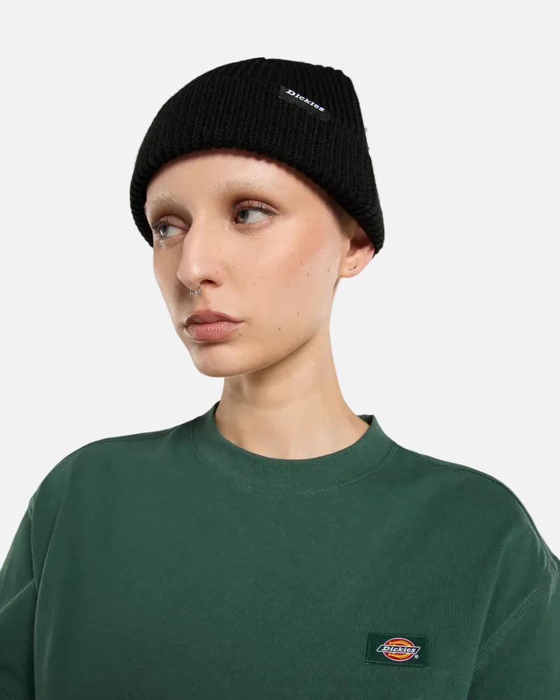 DICKIES BERRETTO