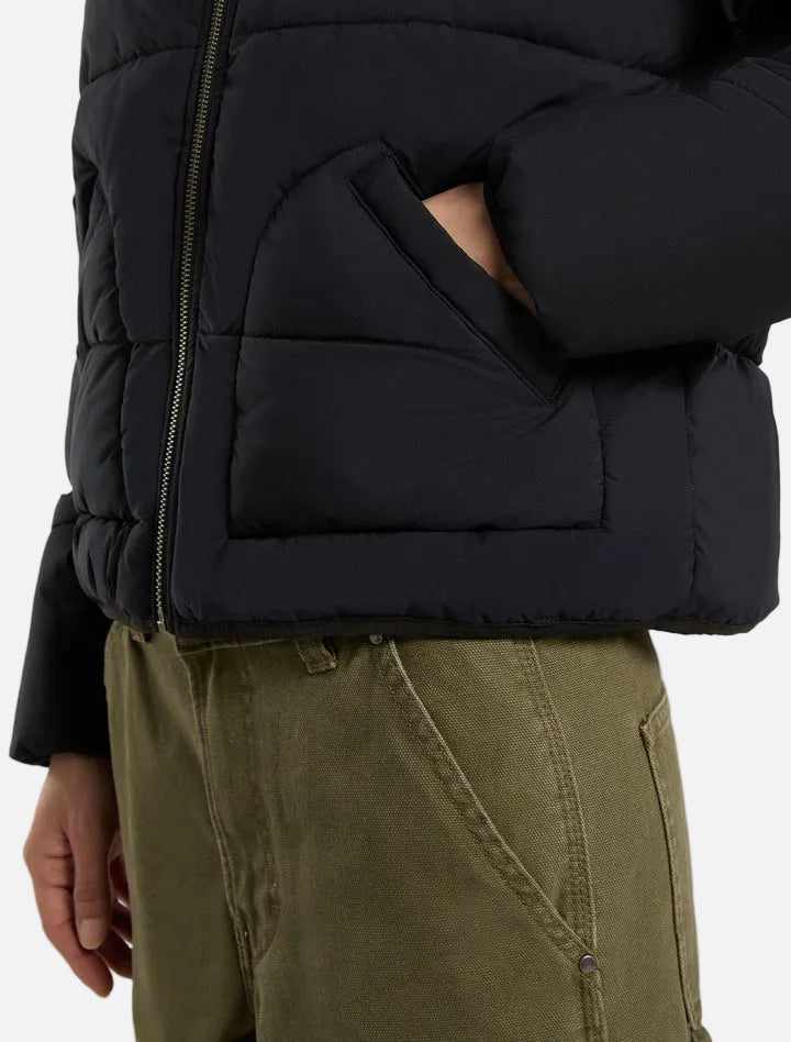 DICKIES PIUMINO