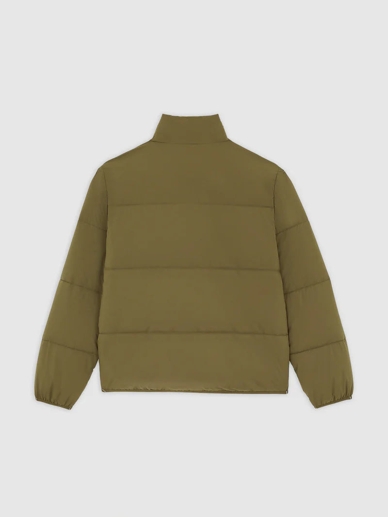 DICKIES PIUMINO