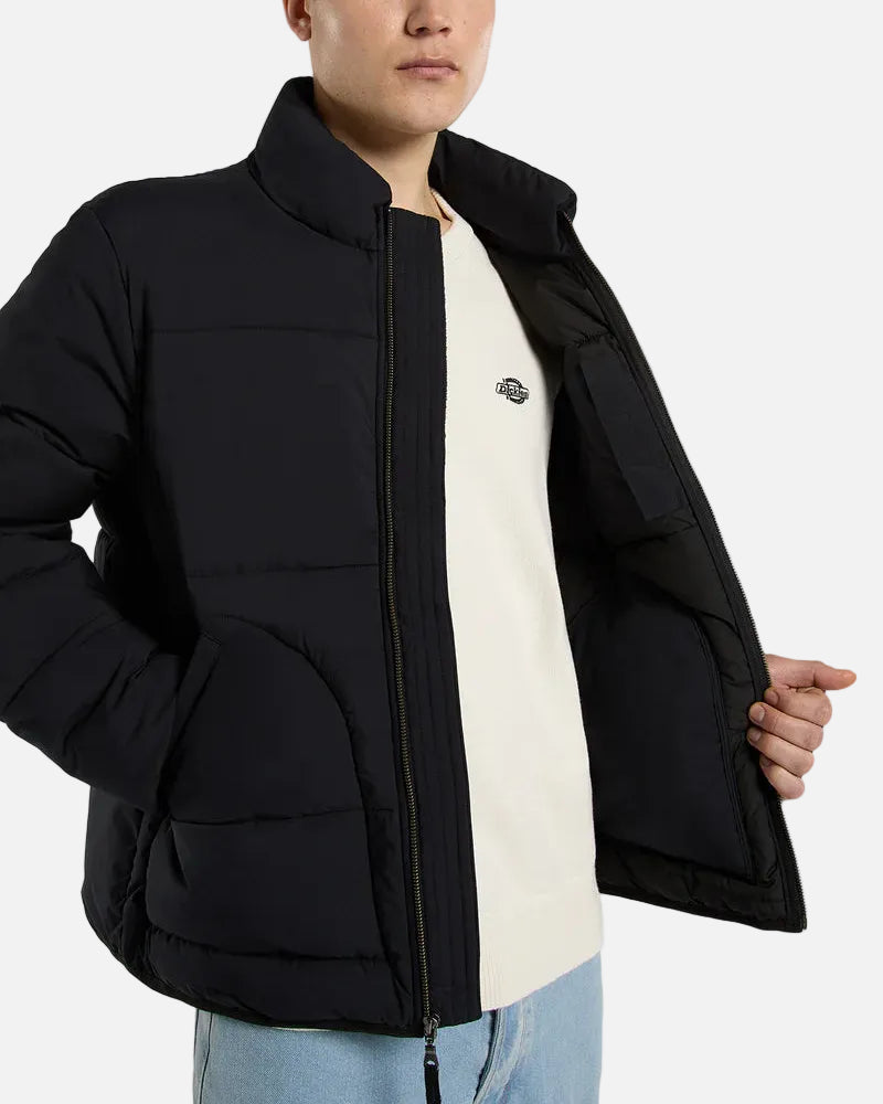DICKIES PIUMINO