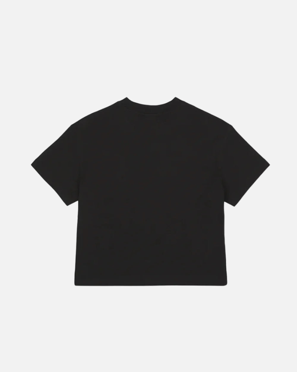 DICKIES T-SHIRT