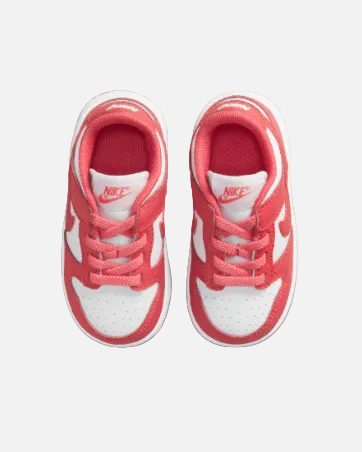 NIKE DUNK LOW (TDE)